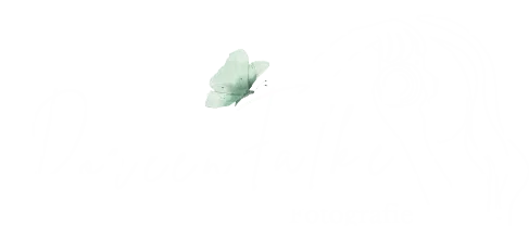 Doreen Falke